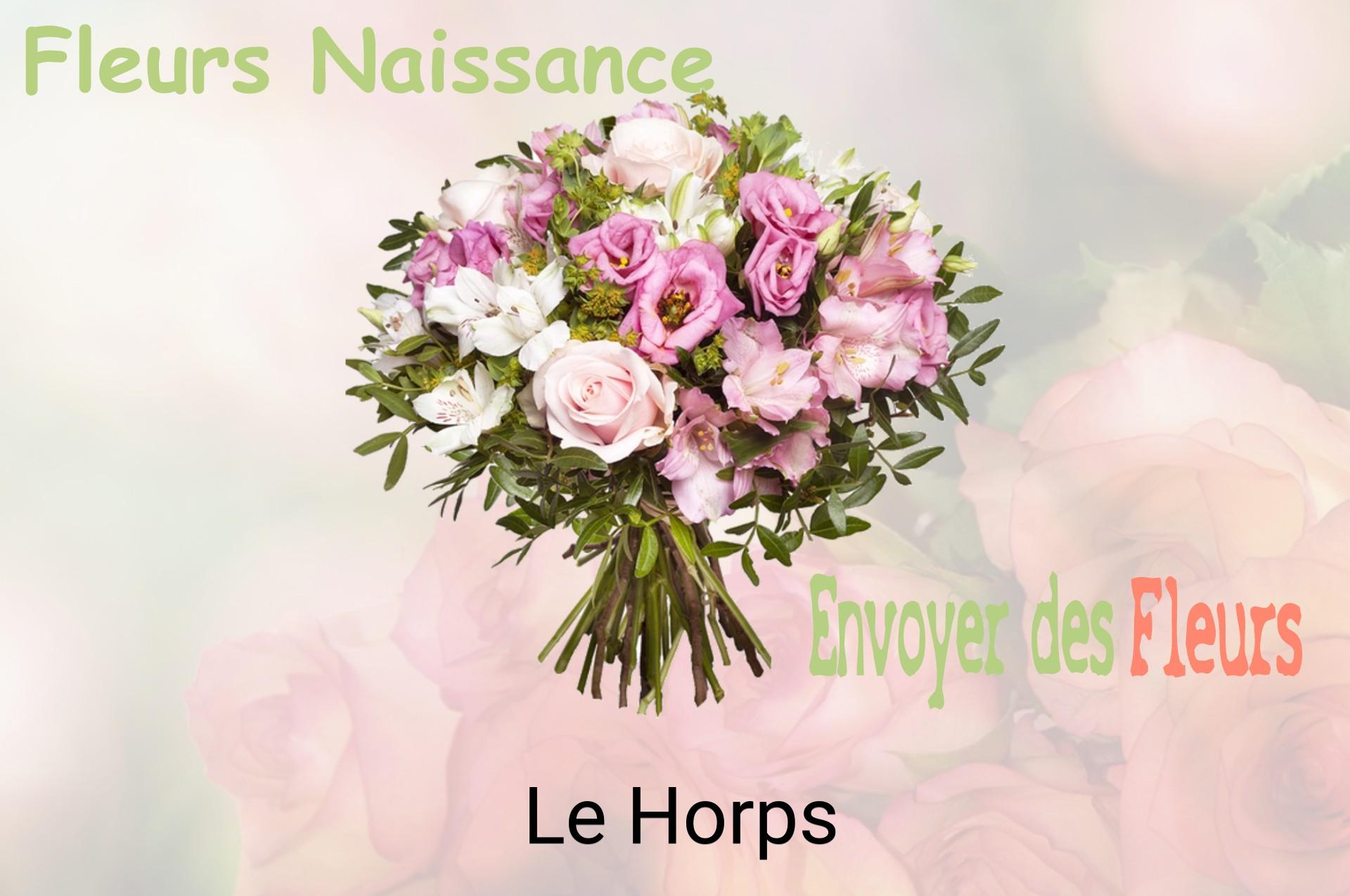 Bouquet de fleurs de naissance livré à Le Horps
